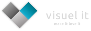 Visuel IT logo